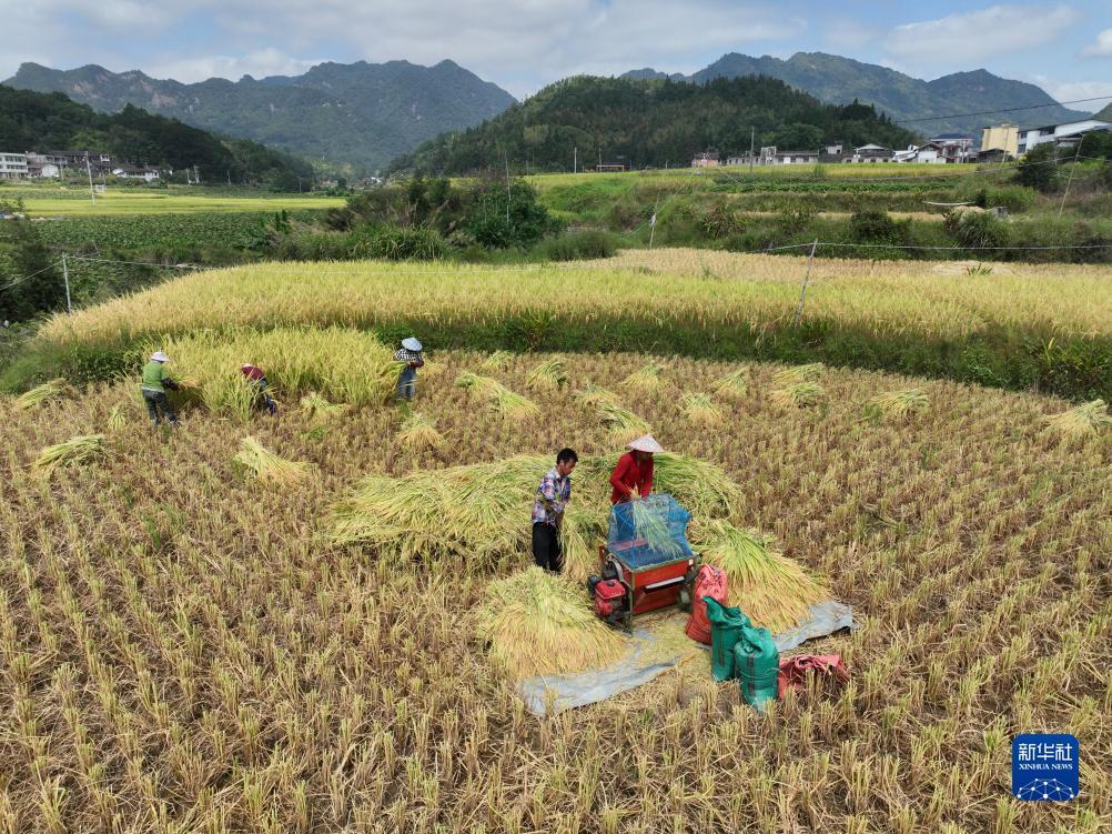 世爵登录地址6